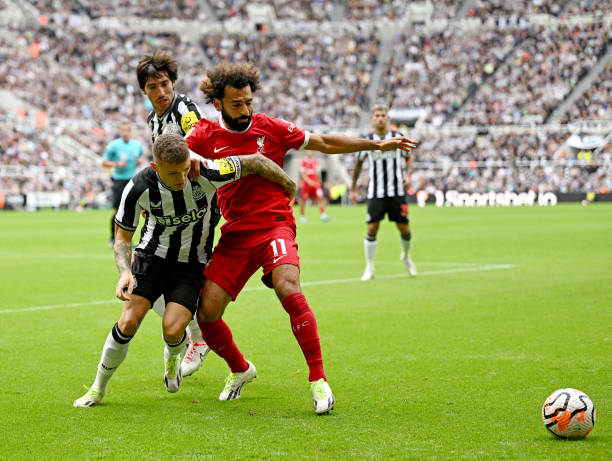 他们的支持 他们的支持